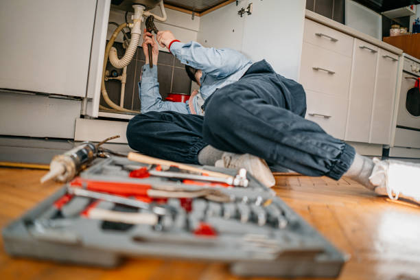 Best 24-Hour Plumber Near Me  in Citrus Springs, FL