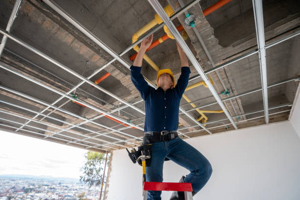 Best Best Plumbers Near Me  in Citrus Springs, FL