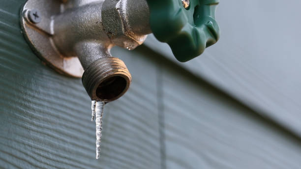 Best Septic Systems  in Citrus Springs, FL